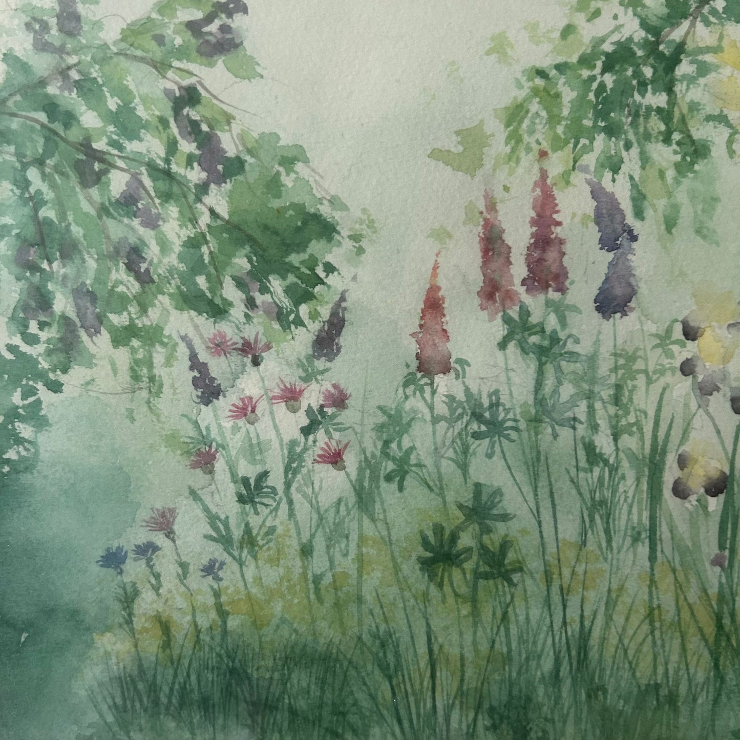 Secret Garden